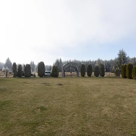 Bonsai Golija * Brusnik (Ivanjica)