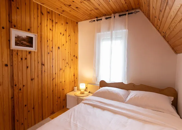 Bonsai Golija * Brusnik (Ivanjica)