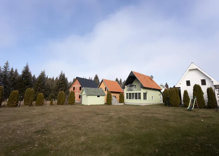 Bonsai Golija * Brusnik (Ivanjica)