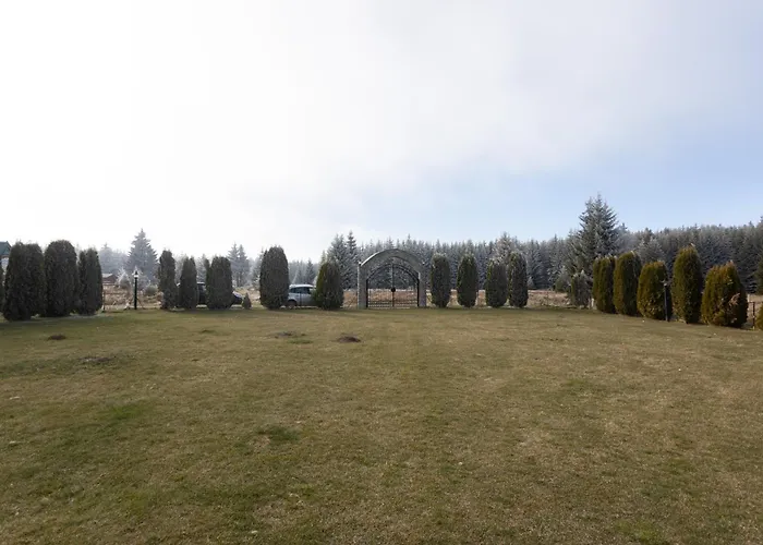 Bonsai Golija * Brusnik (Ivanjica)